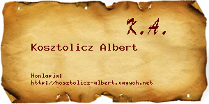 Kosztolicz Albert névjegykártya